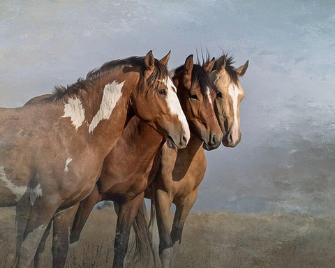 Bachelor Buddies White Modern Wood Framed Art Print with Double Matting by McFerrin, Larry