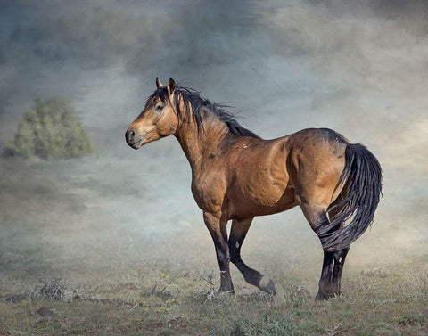 Wicasa White Modern Wood Framed Art Print with Double Matting by McFerrin, Larry