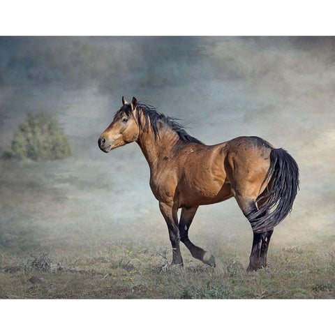 Wicasa Black Modern Wood Framed Art Print by McFerrin, Larry