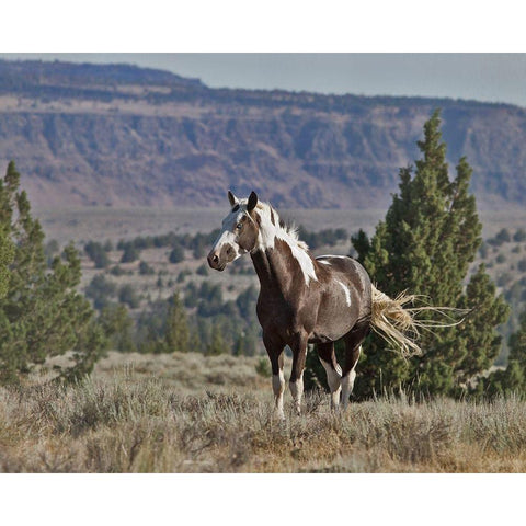 Renegade Gold Ornate Wood Framed Art Print with Double Matting by McFerrin, Larry