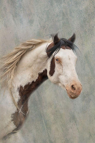 Shaman Black Ornate Wood Framed Art Print with Double Matting by McFerrin, Larry