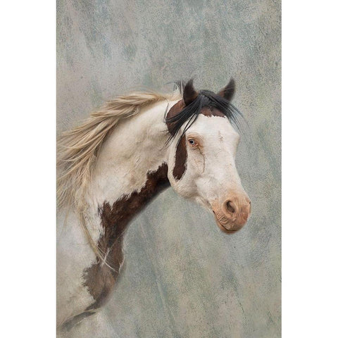 Shaman Black Modern Wood Framed Art Print with Double Matting by McFerrin, Larry