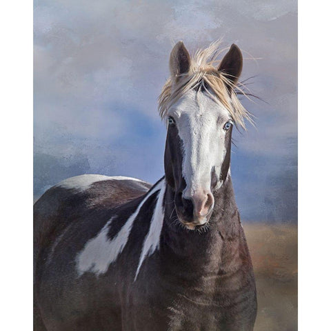 Renegade White Modern Wood Framed Art Print by McFerrin, Larry