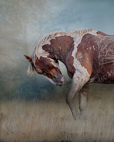 Attitude White Modern Wood Framed Art Print with Double Matting by McFerrin, Larry