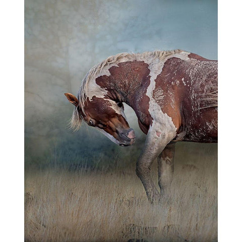 Attitude Black Modern Wood Framed Art Print by McFerrin, Larry