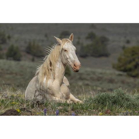 Survivor Gold Ornate Wood Framed Art Print with Double Matting by McFerrin, Larry