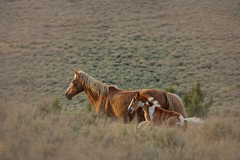 Aztec Band Black Ornate Wood Framed Art Print with Double Matting by McFerrin, Larry