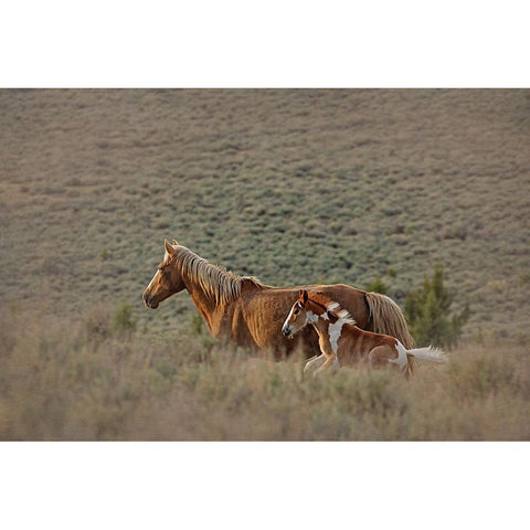 Aztec Band Gold Ornate Wood Framed Art Print with Double Matting by McFerrin, Larry