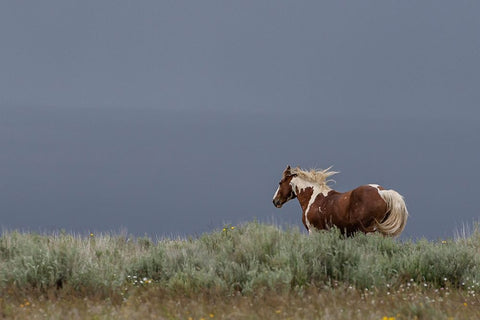 Aztec Band White Modern Wood Framed Art Print with Double Matting by McFerrin, Larry