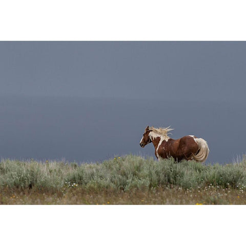 Aztec Band Gold Ornate Wood Framed Art Print with Double Matting by McFerrin, Larry