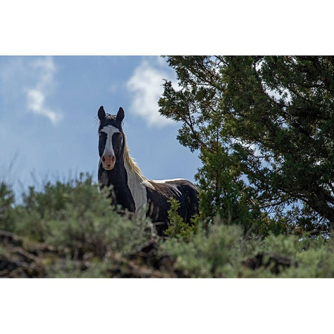 Casino White Modern Wood Framed Art Print by McFerrin, Larry