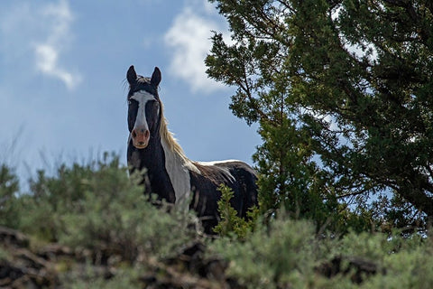 Casino Black Ornate Wood Framed Art Print with Double Matting by McFerrin, Larry