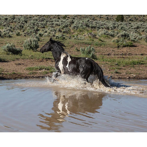 Mundoo Black Modern Wood Framed Art Print by McFerrin, Larry