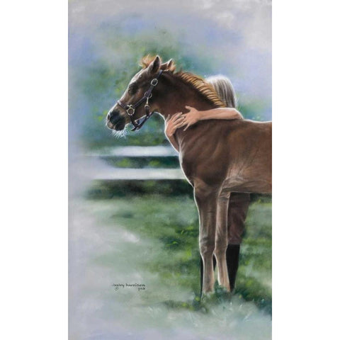 Emily and the Foal White Modern Wood Framed Art Print by Harrison, Lesley