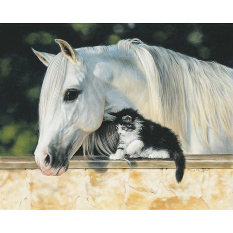 Making Friends White Modern Wood Framed Art Print by Harrison, Lesley