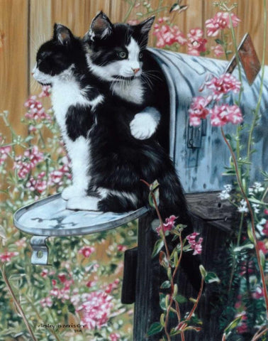 Rural Route II White Modern Wood Framed Art Print with Double Matting by Harrison, Lesley