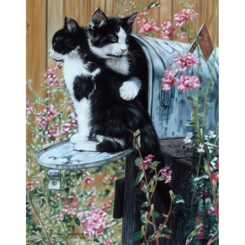 Rural Route II White Modern Wood Framed Art Print by Harrison, Lesley