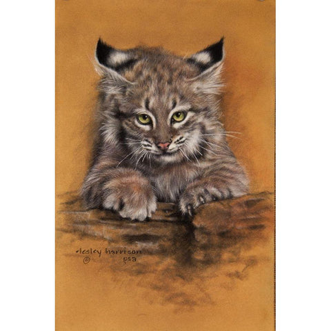 Bobcat Gold Ornate Wood Framed Art Print with Double Matting by Harrison, Lesley