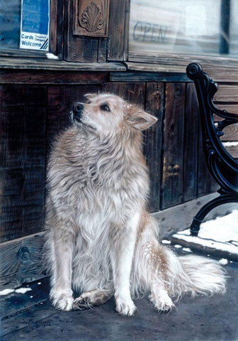 No Dogs Allowed Black Ornate Wood Framed Art Print with Double Matting by Harrison, Lesley