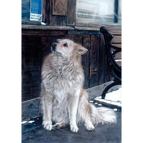 No Dogs Allowed Black Modern Wood Framed Art Print by Harrison, Lesley