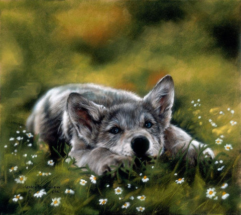 No Worries Black Ornate Wood Framed Art Print with Double Matting by Harrison, Lesley