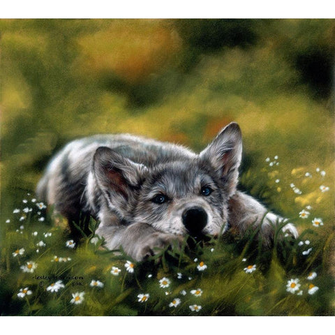 No Worries White Modern Wood Framed Art Print by Harrison, Lesley