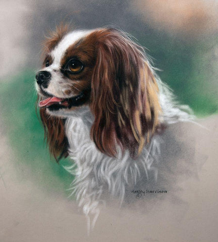 Regal Companion White Modern Wood Framed Art Print with Double Matting by Harrison, Lesley