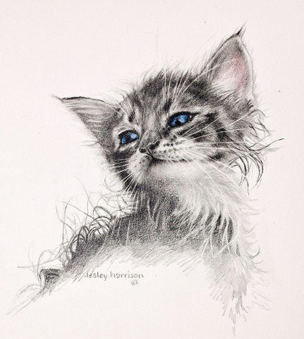 Mine Merle White Modern Wood Framed Art Print with Double Matting by Harrison, Lesley