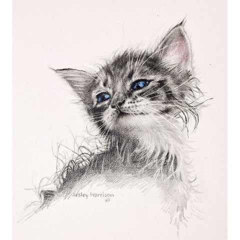 Mine Merle White Modern Wood Framed Art Print by Harrison, Lesley