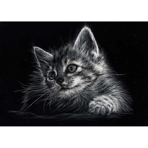 Kitten Black Modern Wood Framed Art Print with Double Matting by Harrison, Lesley