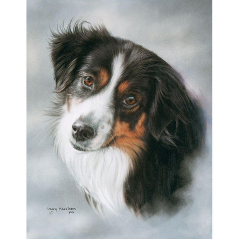 Australian Shepherd Gold Ornate Wood Framed Art Print with Double Matting by Harrison, Lesley