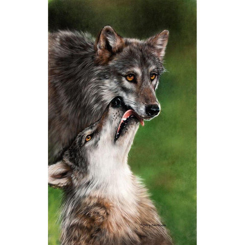 Sweet Moments Black Modern Wood Framed Art Print with Double Matting by Harrison, Lesley