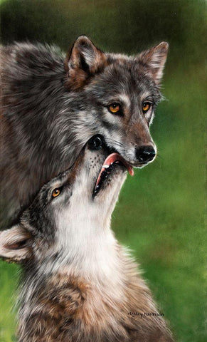 Sweet Moments White Modern Wood Framed Art Print with Double Matting by Harrison, Lesley