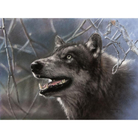 Whats Up There Black Modern Wood Framed Art Print with Double Matting by Harrison, Lesley