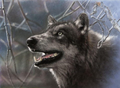 Whats Up There White Modern Wood Framed Art Print with Double Matting by Harrison, Lesley