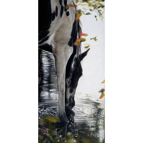 Afternoon Drink Black Modern Wood Framed Art Print by Harrison, Lesley