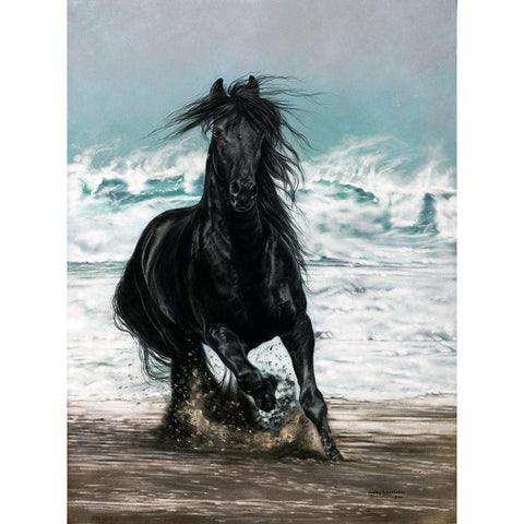 Free Spirit Black Modern Wood Framed Art Print with Double Matting by Harrison, Lesley