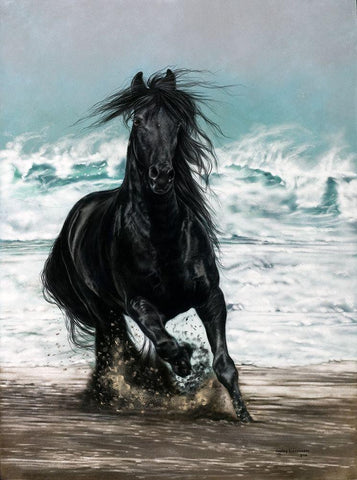 Free Spirit White Modern Wood Framed Art Print with Double Matting by Harrison, Lesley