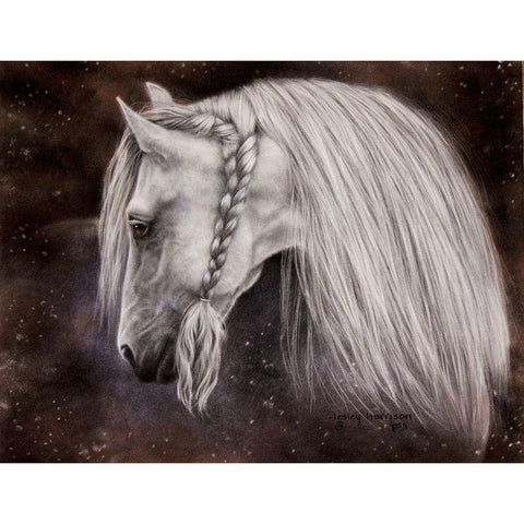 Beauty with a Twist Black Modern Wood Framed Art Print with Double Matting by Harrison, Lesley