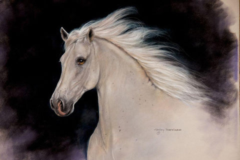 Elegance Black Ornate Wood Framed Art Print with Double Matting by Harrison, Lesley