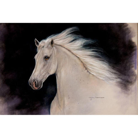 Elegance Black Modern Wood Framed Art Print by Harrison, Lesley