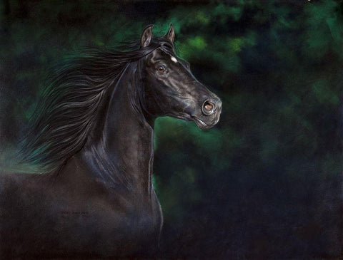 Proud Beauty Black Ornate Wood Framed Art Print with Double Matting by Harrison, Lesley