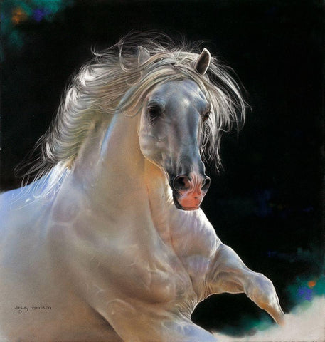 Untamed White Modern Wood Framed Art Print with Double Matting by Harrison, Lesley