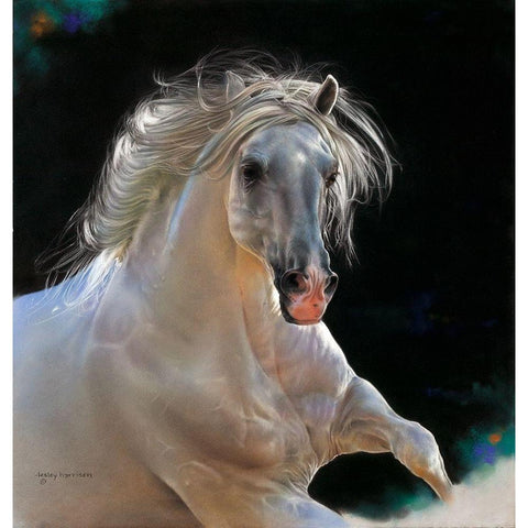 Untamed White Modern Wood Framed Art Print by Harrison, Lesley