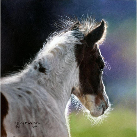 Three Days Old White Modern Wood Framed Art Print by Harrison, Lesley