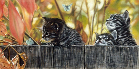 Moth Fascination Black Ornate Wood Framed Art Print with Double Matting by Harrison, Lesley