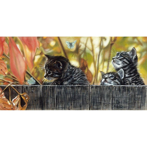 Moth Fascination Black Modern Wood Framed Art Print by Harrison, Lesley