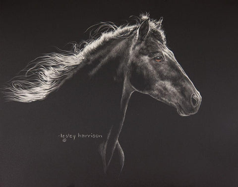 Faroan Black Ornate Wood Framed Art Print with Double Matting by Harrison, Lesley