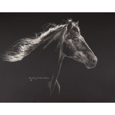 Faroan Black Modern Wood Framed Art Print by Harrison, Lesley