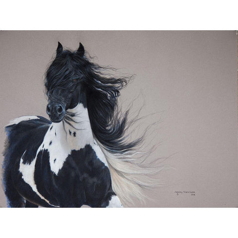 Pretty Boy Armani Black Modern Wood Framed Art Print by Harrison, Lesley